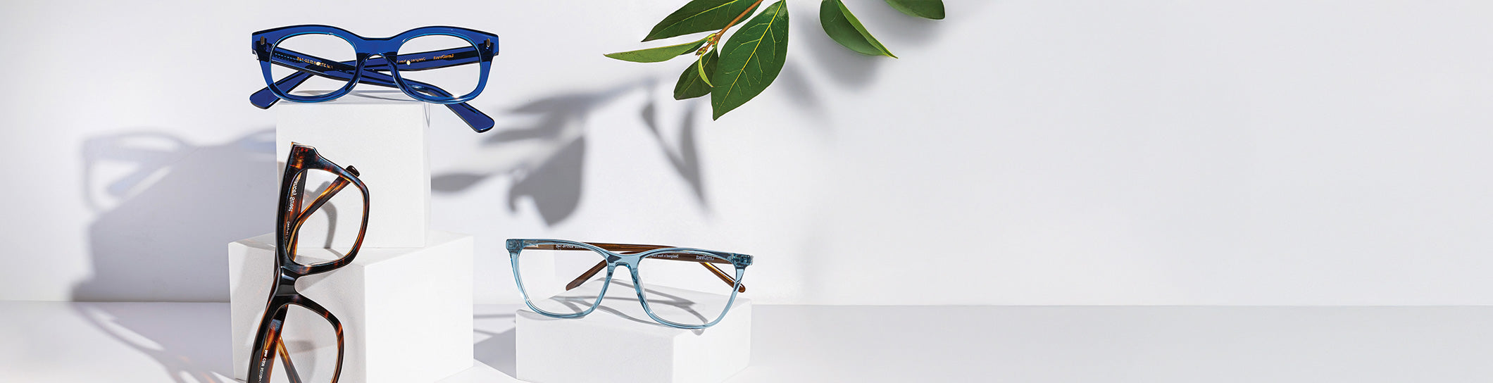 Glasses